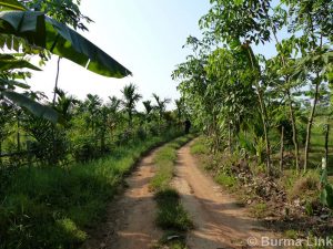 road-to-proposed-project-site-in-ann-din